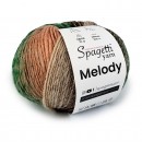 Melody Ebruli El Örgü İpliği